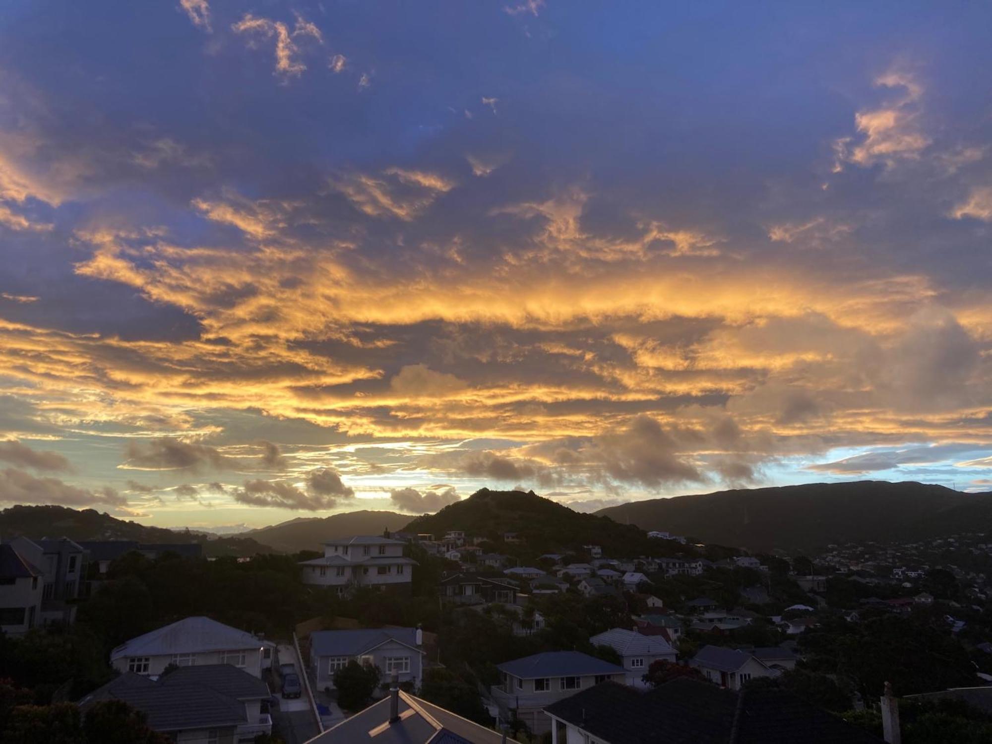 Khandallah Harbour View Bnb Wellington Eksteriør bilde